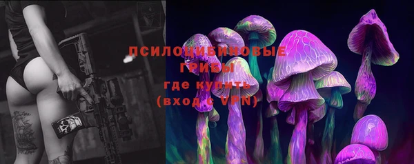ПСИЛОЦИБИНОВЫЕ ГРИБЫ Няндома