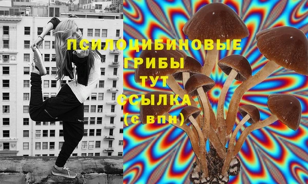 мет Осташков