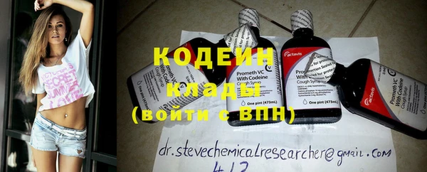 ПСИЛОЦИБИНОВЫЕ ГРИБЫ Няндома