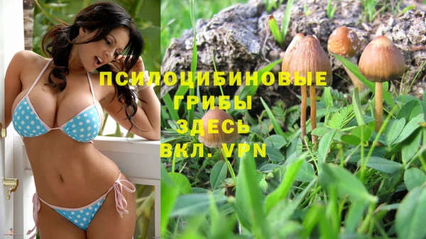 каннабис Осинники
