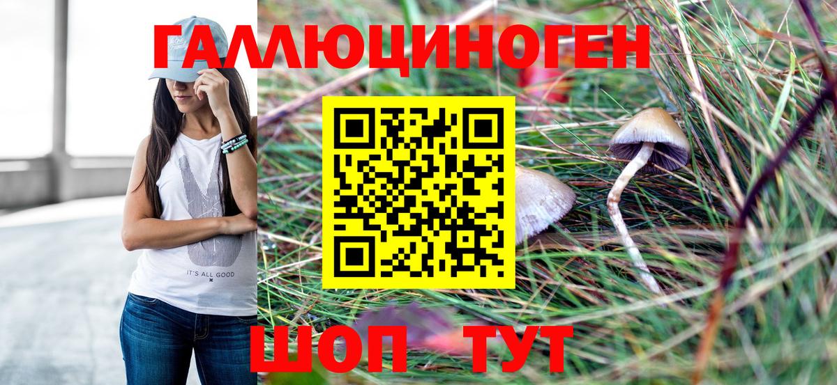 Псилоцибиновые грибы прущие грибы Асино