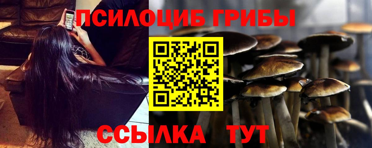 Галлюциногенные грибы прущие грибы Асино